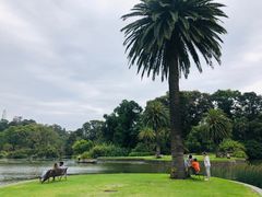 -墨尔本皇家植物园