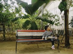 -北戴河集发农业梦想王国