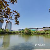 国庆游湖笔记之金桥碧云office park园区