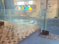 -海豚堡温泉水乐园
