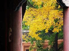 -广东圆玄道观
