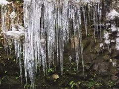 -龙苍沟森林公园