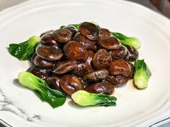 -潮江春(阳光店)
