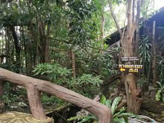 -绿光森林餐厅