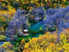 -叠溪松坪沟景区