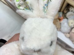 -武汉光谷K11