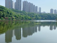 -重庆彩云湖湿地公园