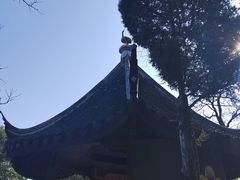 -香雪海