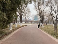-莲花池公园