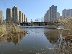 -前关湿地公园
