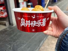 -黑色经典臭豆腐·湖南特产(步行街店)