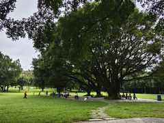 -东莞植物园