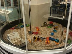 -Lilliput·粒粒堡亲子餐厅(嘉定宝龙店)