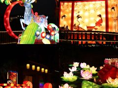 -长鹿旅游休博园