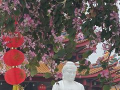 -仙岳公园