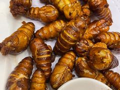 -华盛丰温州大排档(东三环南路店)