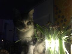 -一品格美术·中考高中成人美术培训