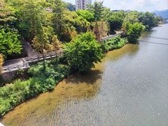 -沙县小吃文化城