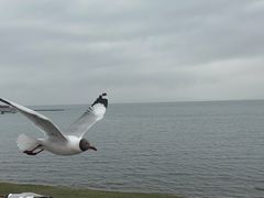 -青海湖二郎剑景区