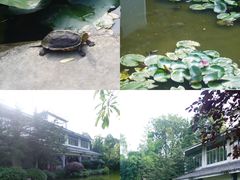 -成都川菜博物馆