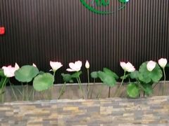 -君之悦·影院式足道·养生SPA(回兴店)