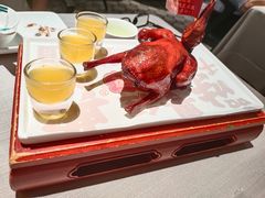 -大鸽饭(体育西路店)