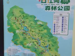 -广州白江湖森林公园