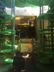 -恐龙探索乐园(磁器口店)