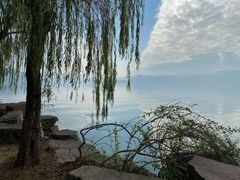-东钱湖小普陀景区