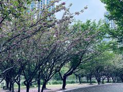 -苏州河梦清园环保主题公园