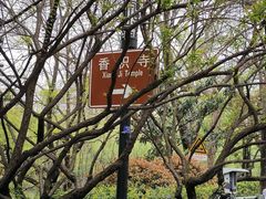 -香积寺