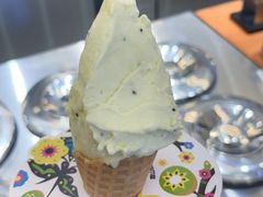 -野人先生Gelato(上海长宁龙之梦店)