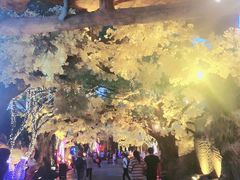 -横店影视城梦幻谷园区