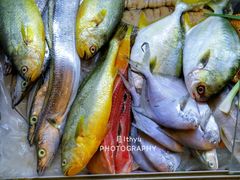 -聪辉同安老美食饭店(大元路店)