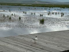 -花湖生态旅游区