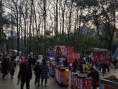-绵阳人民公园(涪城区)