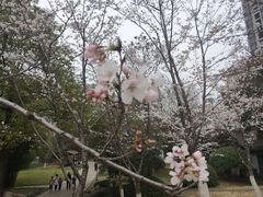 -堤角公园