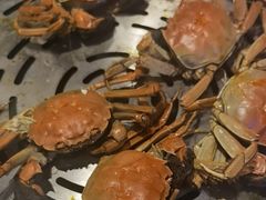 -半岛听涛蒸汽海鲜自助(K11店)