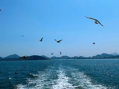 -海驴岛(荣成市)