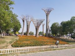 -武清南湖绿博园