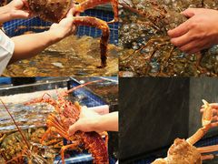 -海月轩海鲜豆捞(紫金塔店)