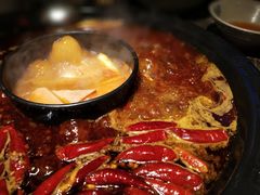 -渝大狮毛肚老火锅(遂宁万达店)