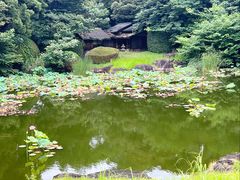 -东京国立博物馆