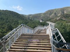 -大青山野生动物园
