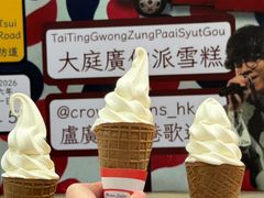 -富豪雪糕车流动点(尖沙咀)