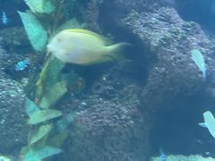 -鸿通城购物中心