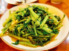 泰式空心菜-荷花泰菜(东方新天地店)