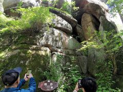 -汤旺河林海奇石景区