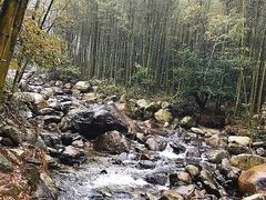 -明月山天沐温泉度假村