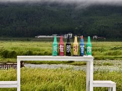 -腾冲北海湿地
